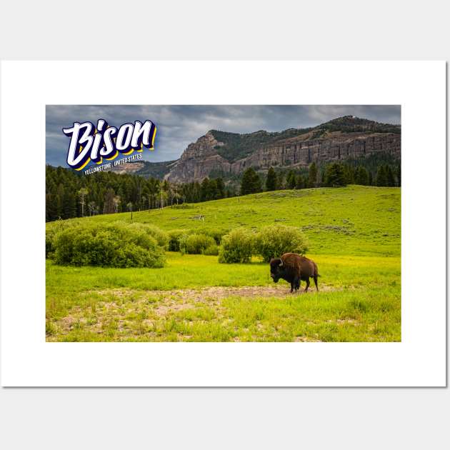 Bison at Yellowstone Wall Art by Gestalt Imagery